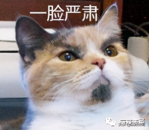 童瑶被张默打时照片,童瑶拿下冠军