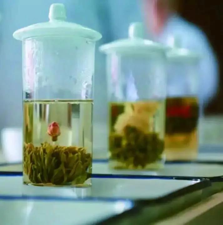 中国茶叶博物馆要预约吗,中国茶叶博物馆茶友会