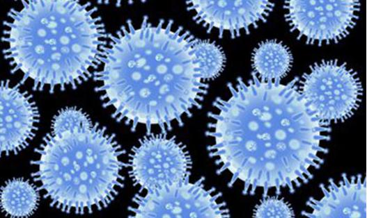 中药抗病毒药物有哪些,抗病毒药物研究方案