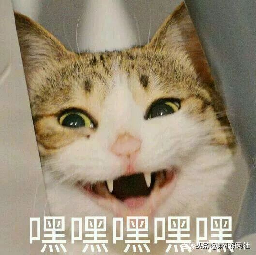 国家电商代购新政策出台,电商法实施后淘宝个人的怎么办