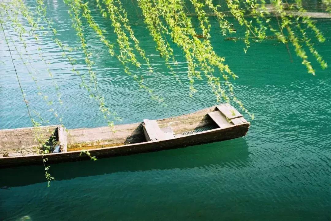 洗护套装薄荷女士,洗护套装推荐烫染去屑