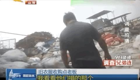 交易猫被央视曝光,收养流浪狗的真实记录