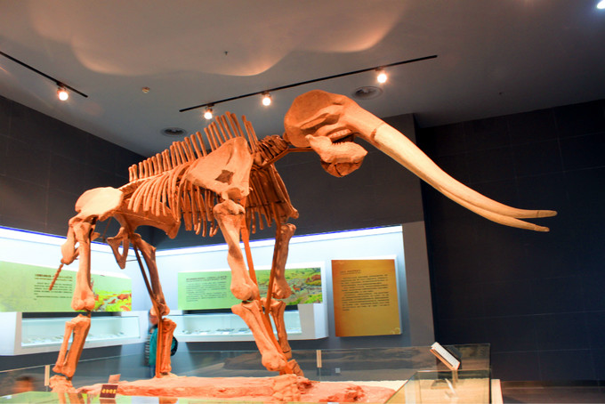 长沙小众亲子游,长沙一日游小众景点推荐