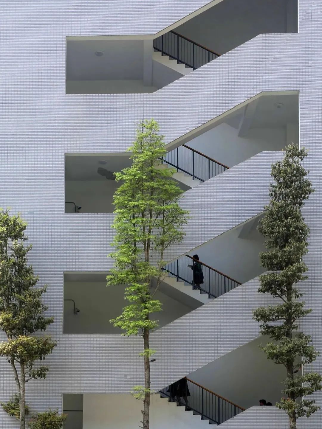 天府四中23摇号比例,成都三中摇中概率