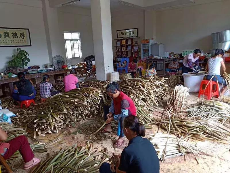 广西小伙年薪百万改行回乡养猪,农村小伙放弃高薪回农村养鸡