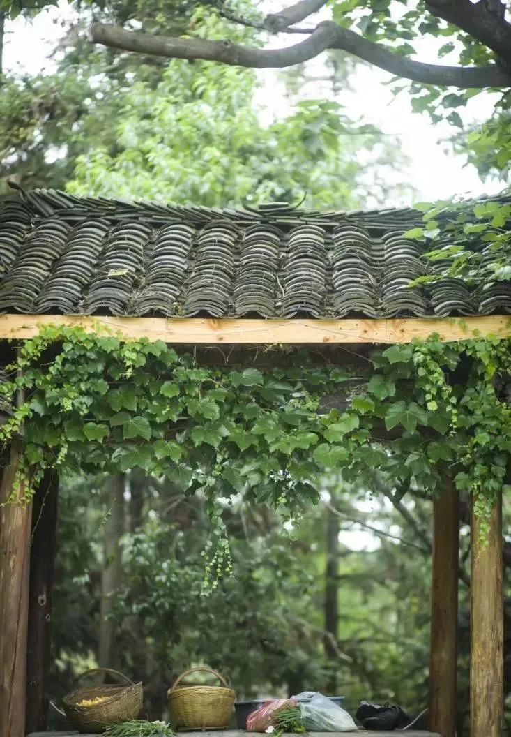 80后夫妻住山,80后两口子隐居大山