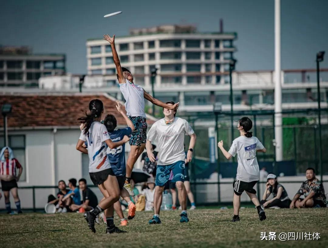 所有的飞盘怎么玩,极限飞盘玩