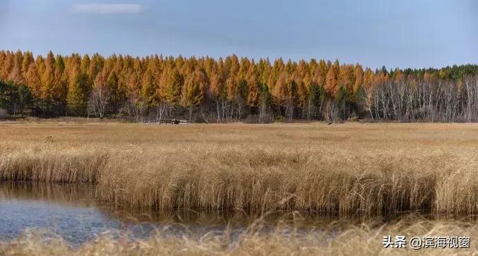 天津周边的旅游景点推荐一日游,天津周边旅游一日游攻略大全