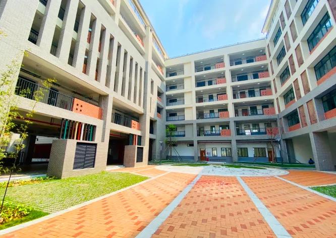 平洲中心小学宣传片,平洲中心小学省一级