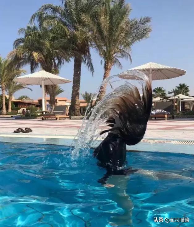 埃及旅行安全吗,埃及旅行后感悟