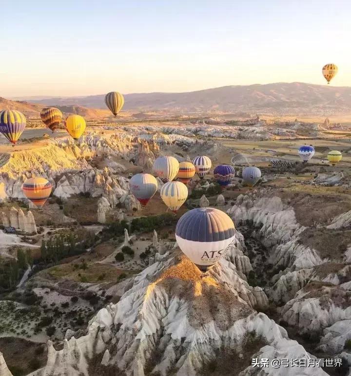 也许是我爸妈心大，才遗传了我这么心大