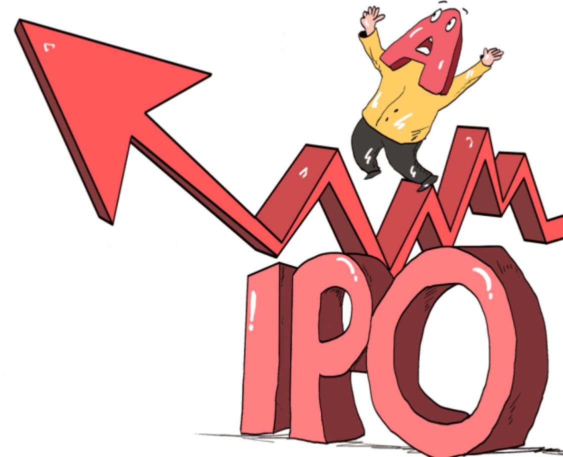 公司ipo上市为什么要查征信,为什么有那么多公司能ipo上市