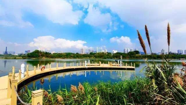 东莞迪士尼乐园项目,2020年东莞水上乐园