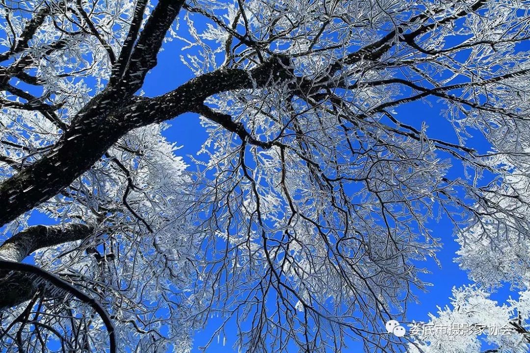 最新风景摄影小品欣赏,娄底景观小品