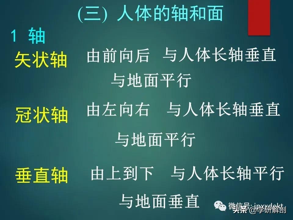 人体解剖学和系统解剖学,解剖学人体重要结构讲解