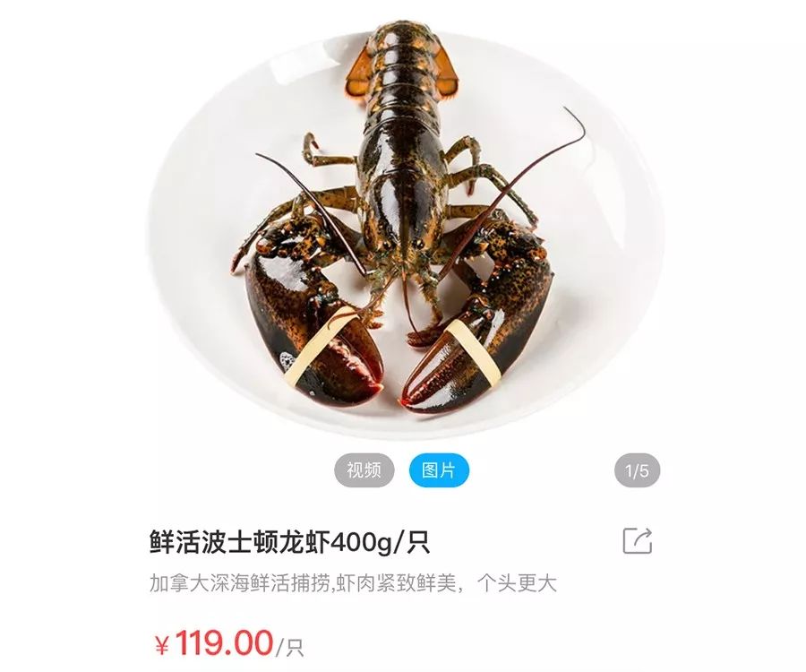 港式花胶鸡打边炉正宗做法,简易龙虾汤泡饭