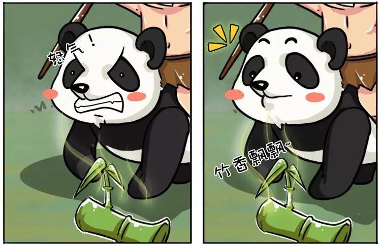 围观中国网红神兽羞羞视频，这是什么特殊爱好？