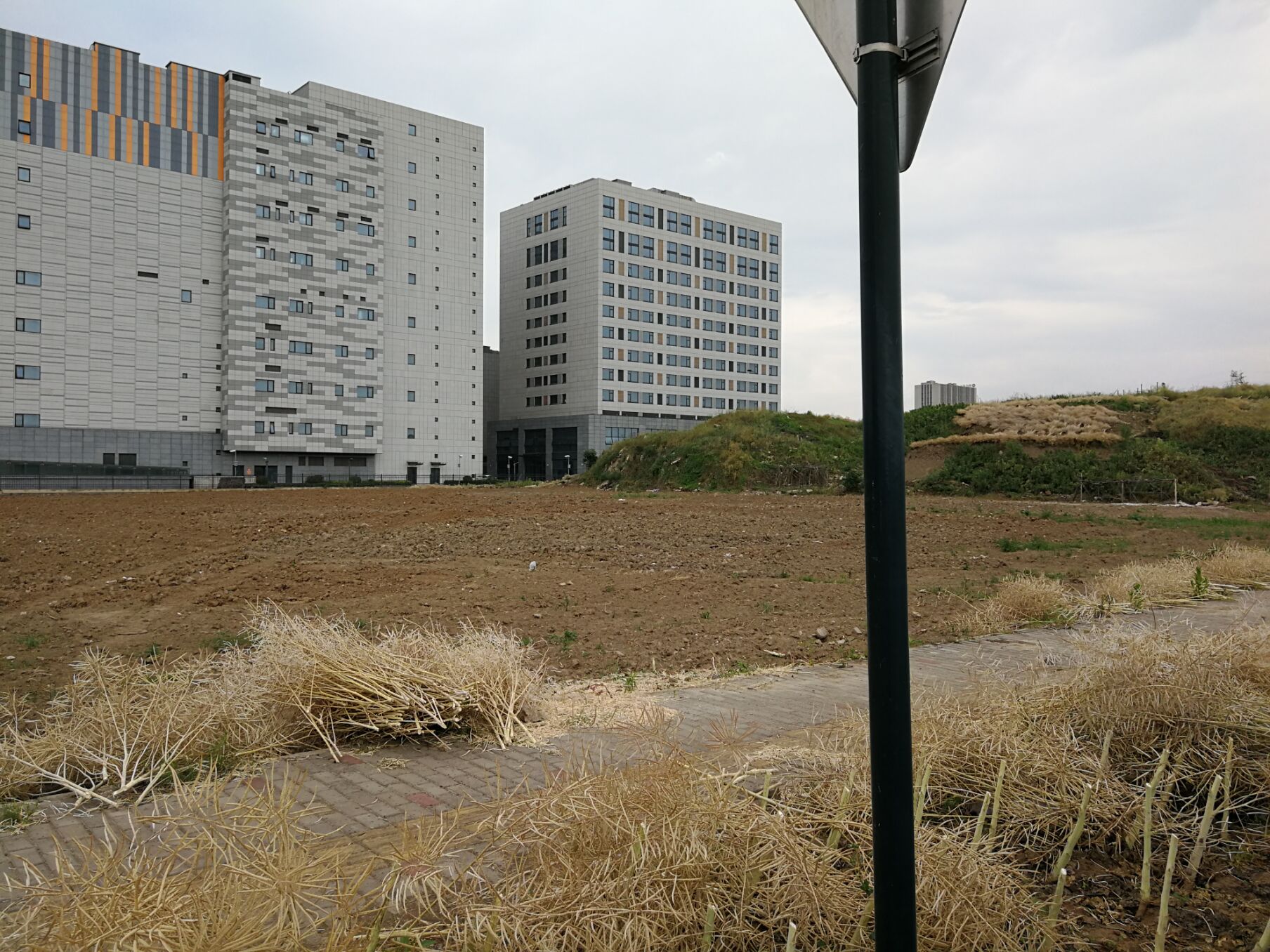 城市西进计划实施方案,江阴夏港发展规划最新消息