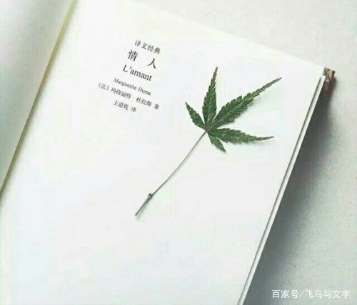 在这个浮躁的社会很难保持初心,当今浮躁的社会还能保持初心吗
