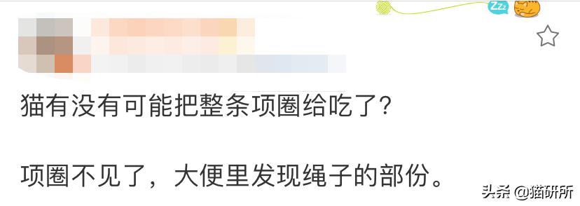 猫咪项圈对人有没有危害,猫咪项圈对猫咪有危害吗
