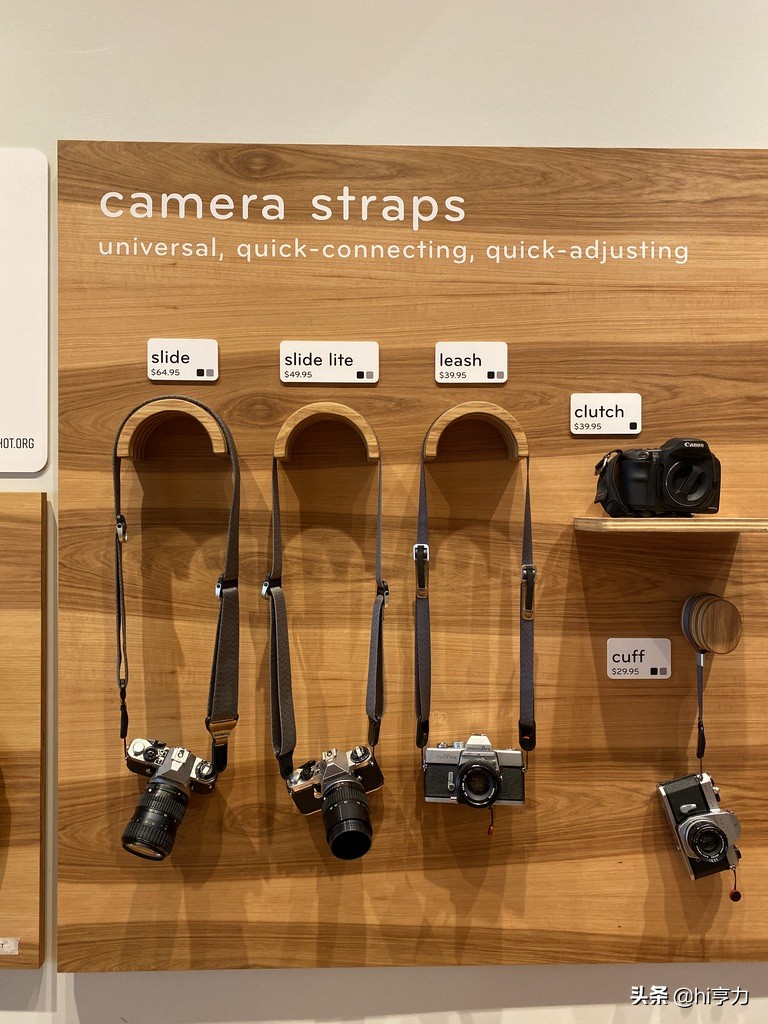 旧金山旅行指南,玩转旧金山