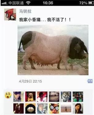 淘宝网店的宿迁神苗,宿迁神苗什么意思