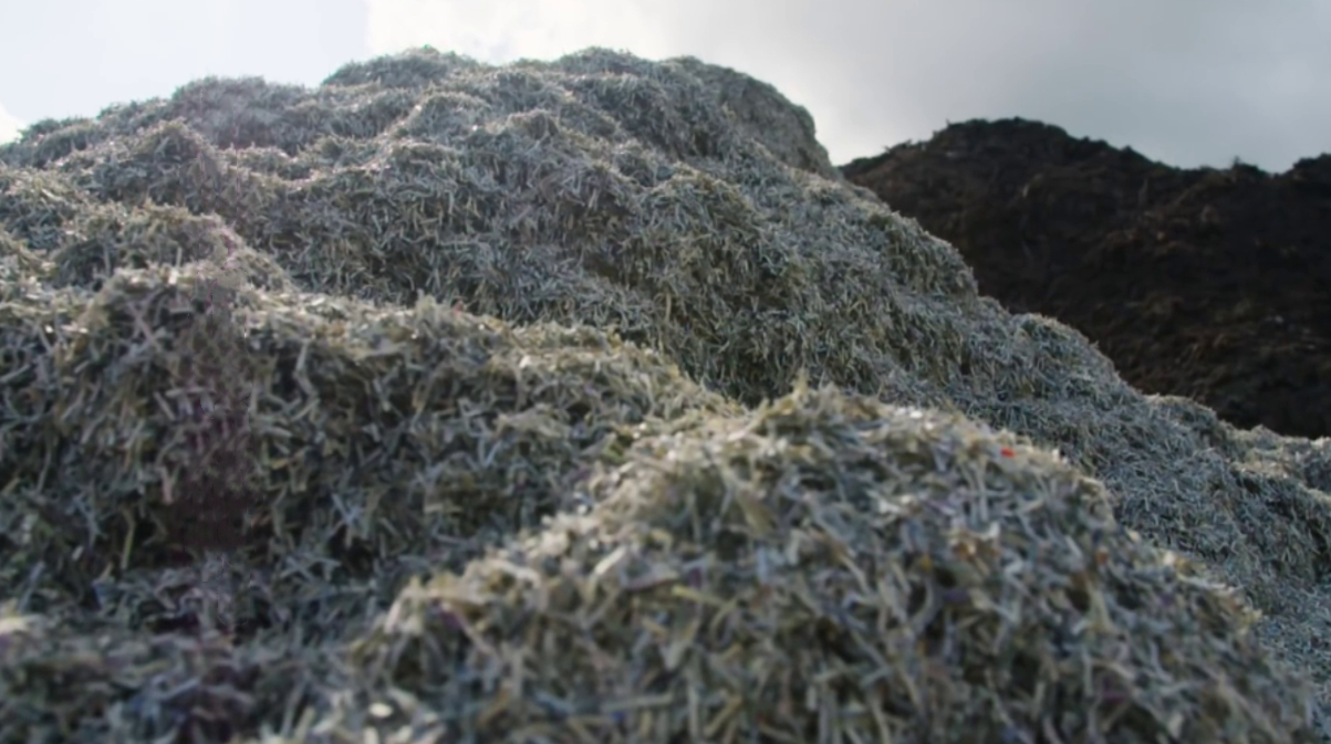 人民币破损多少可以全额兑换,破损人民币怎么兑换