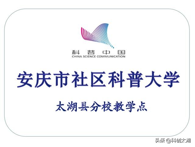 北宗禅与唐代茶文化简论（上）