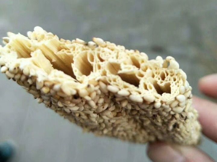 这种糖只有北方才有卖，香甜不粘牙，吃多牙不疼，老人孩子都爱吃