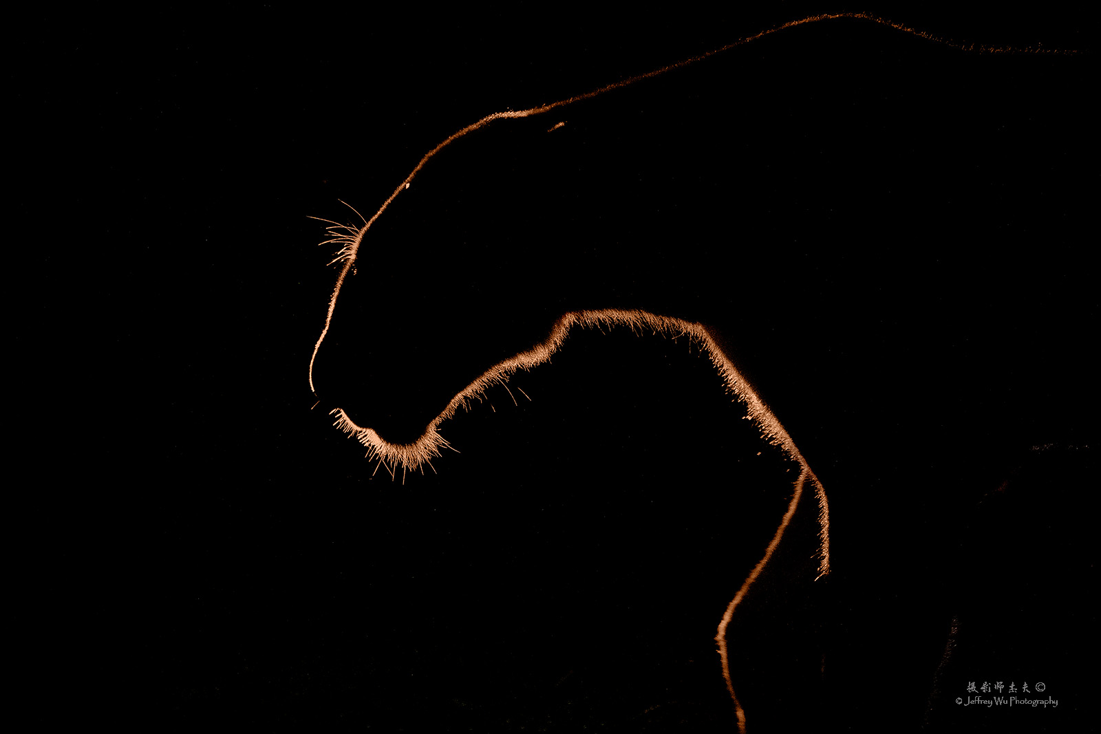 尼康d850完全摄影指南,尼康d850大变焦镜头推荐