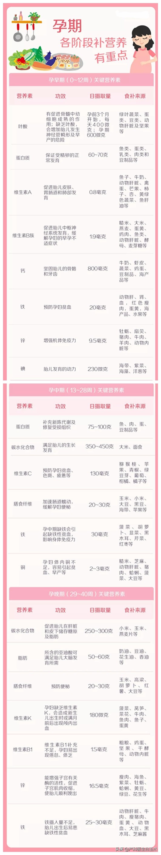 孕期每个阶段需要补充哪些营养素,怀孕期间各阶段应该补充什么营养