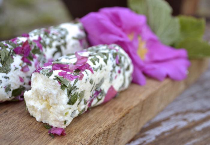 这9种花很常见可赏可吃可饮,秋天可以吃的十种花