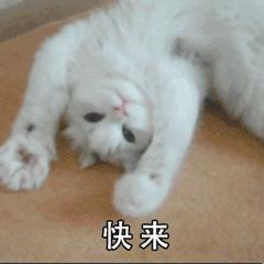 1068开头的招聘信息,1068招聘信息