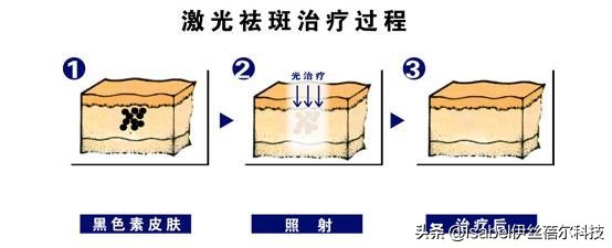 常用电子仪器的使用电路图,常见仪器及基本实验操作