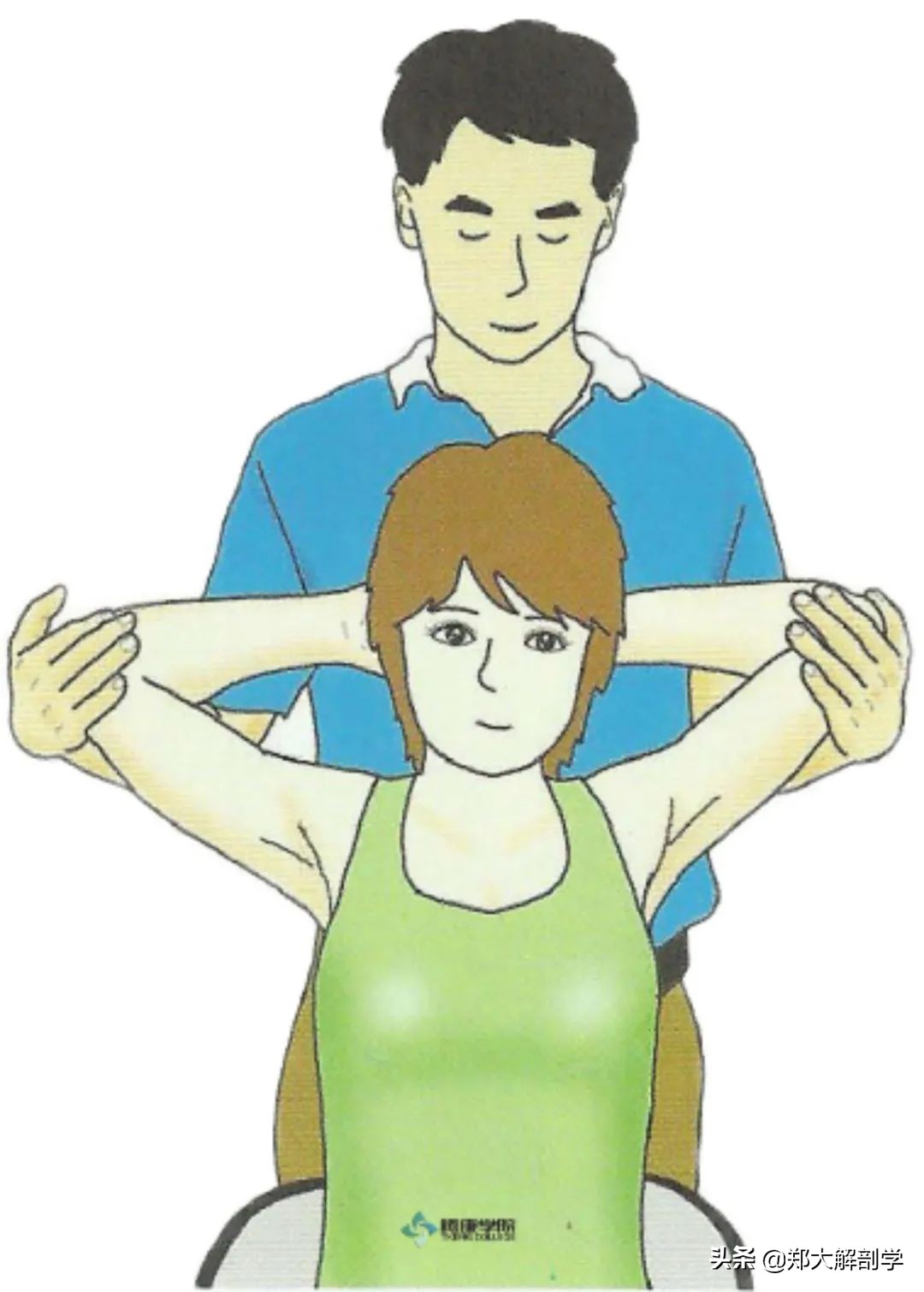 肩关节水平屈可以锻炼胸大肌吗,肩关节运动锻炼胸大肌