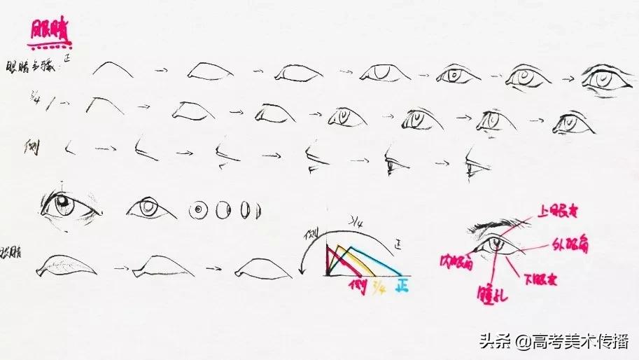 速写五官技法,速写五官的画法精讲