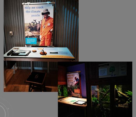 长隆旅游细节分析,长隆有必要四个乐园都玩吗