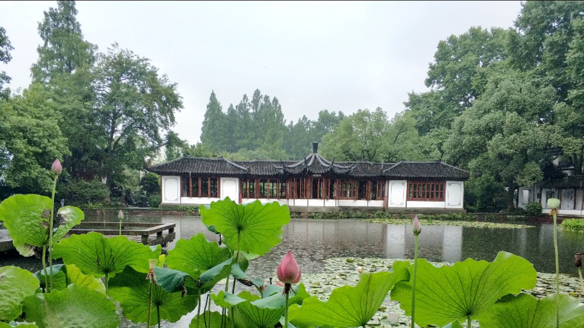 杭州西湖景点郭庄视频,杭州郭庄园林
