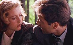 臭豆腐王致和和老才臣哪个好,臭豆腐品牌王致和