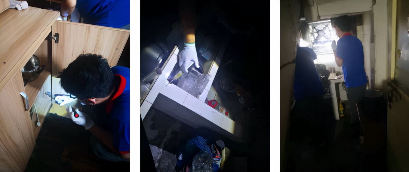 开展集中灭鼠灭蟑活动,社区春季灭蟑活动