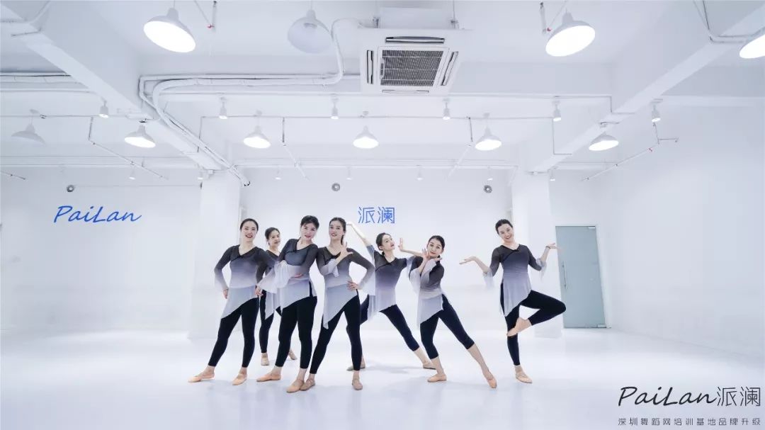 零舞蹈基础该怎么学舞,学跳舞的基本动作和步骤