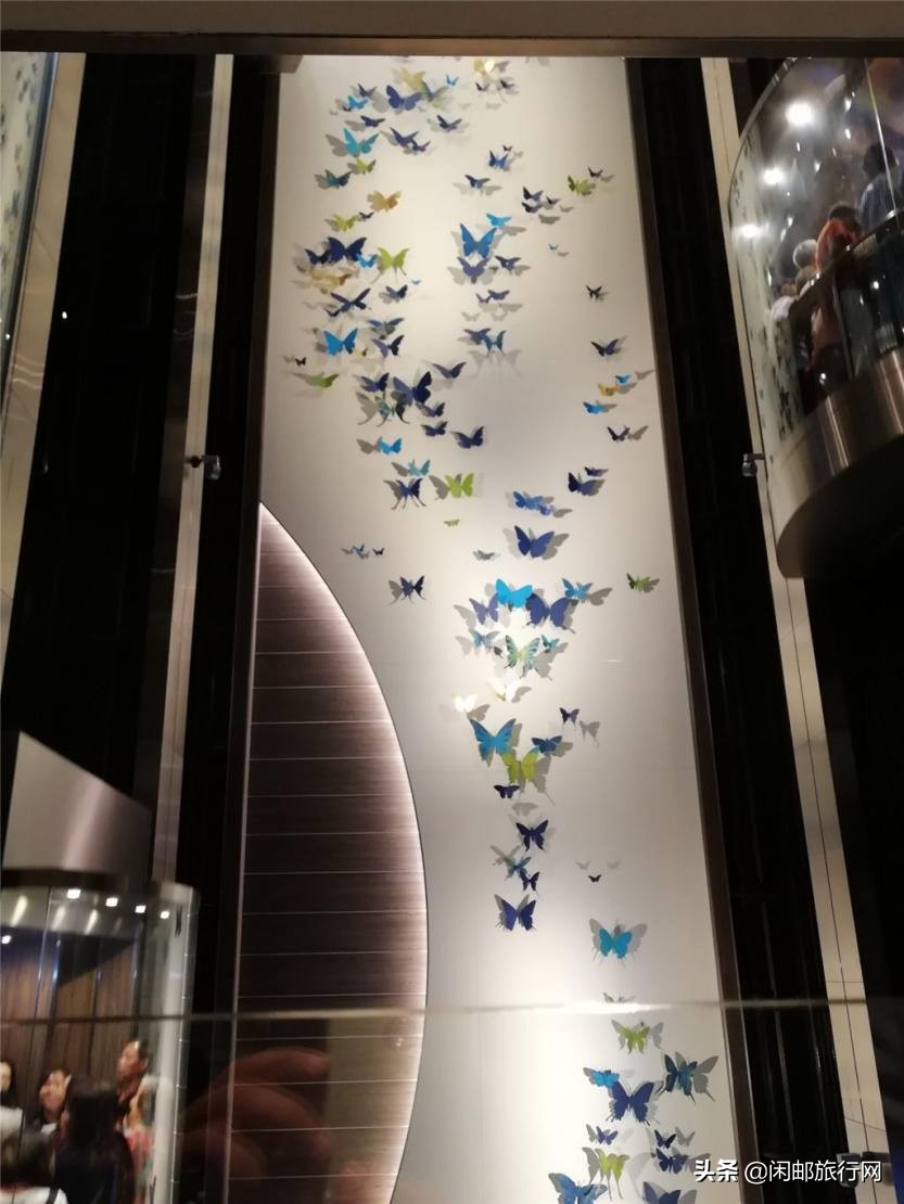 海洋量子号长崎旅游攻略,豪华邮轮海洋量子号去日本