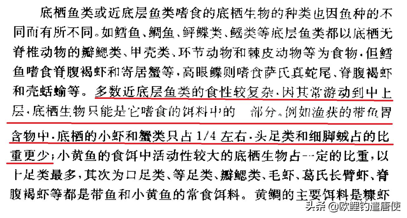 话说欧鲤钓之科学篇,欧鲤钓知识讲解