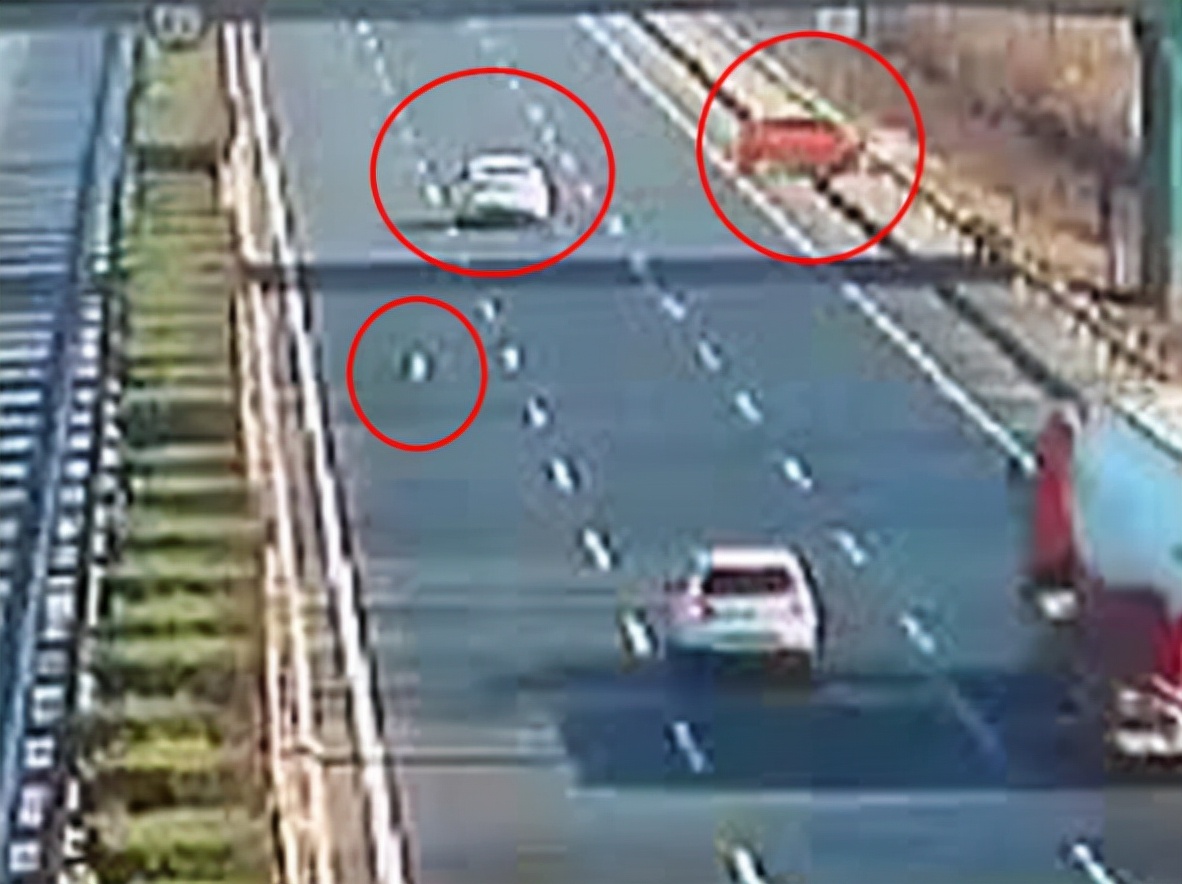 货车撞上牛群当场撞死14头牛,货车撞上牛群致14头牛当场死亡