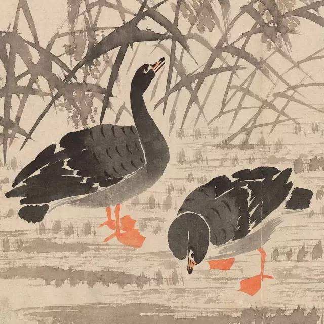 形声字雁理解最简单的方法,雁字甲骨文演变