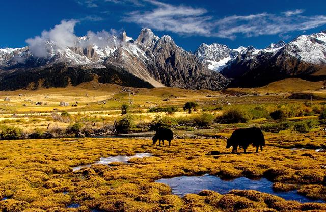 四川省理塘县旅游形象大使丁真,丁真四川甘孜理塘县旅游形象提升