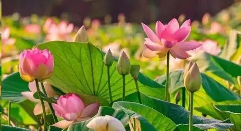 人对待财运的正确态度,牢记八句话财运才会来