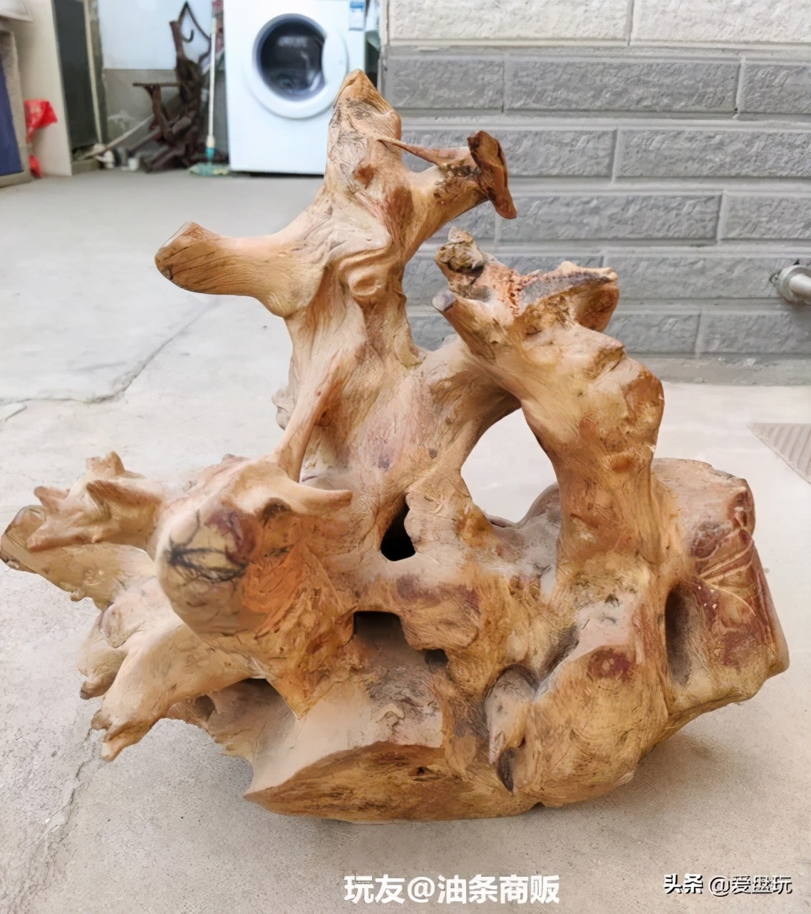 烂木头怎么样处理,烂木头有什么好方法处理