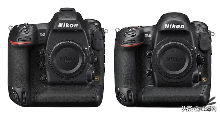 尼康的变革,尼康信仰