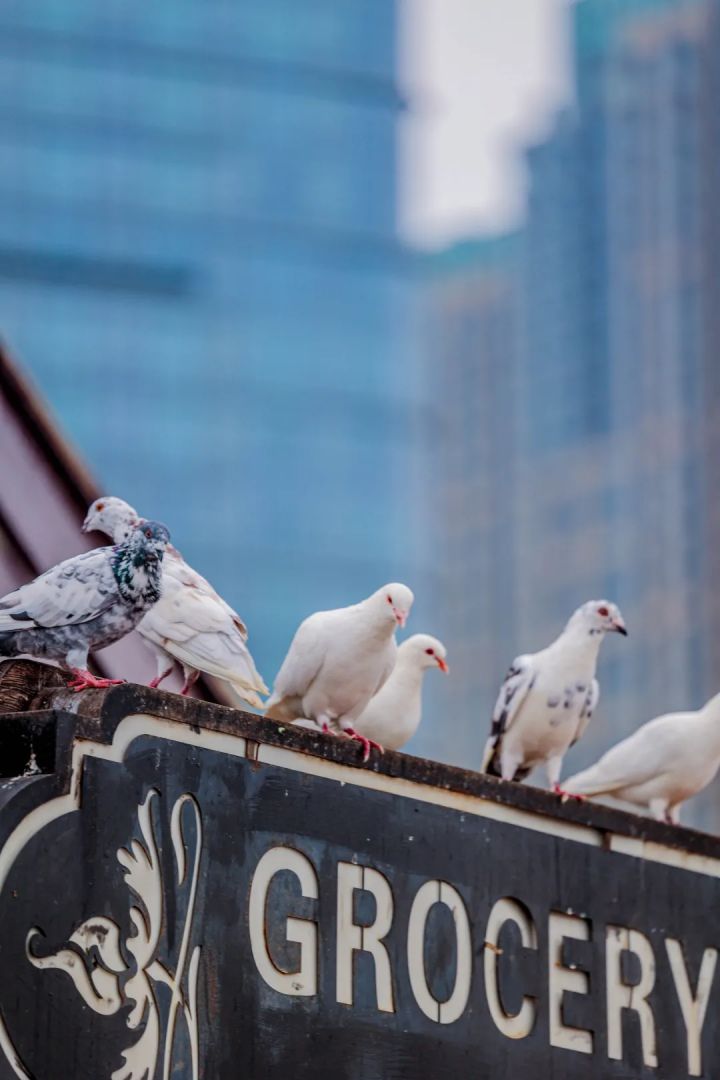 大连旅游最美大海,大连最美海滨风景